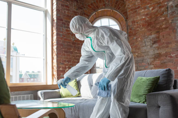 Why You Should Choose Our Mold Remediation Services in Wheeler, TX